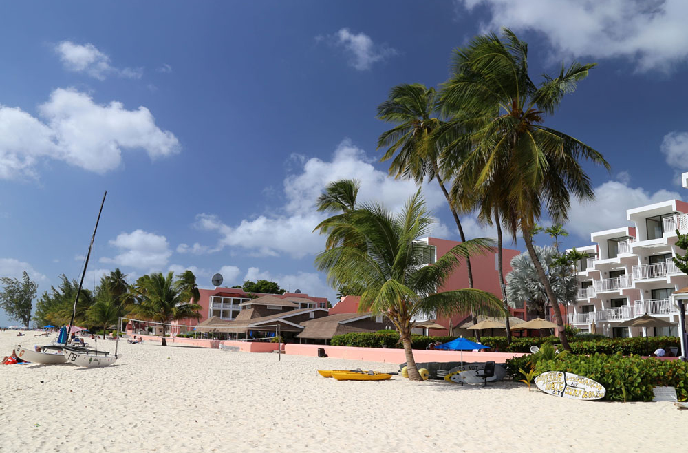 02_Southern_Palms_cThomas_Sbikowski