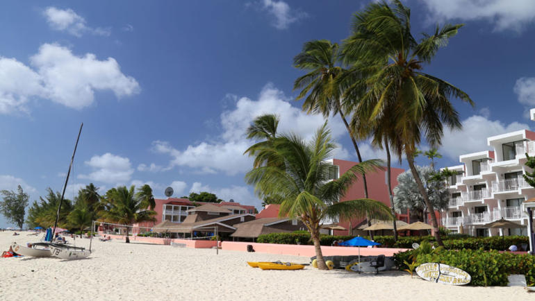 02_Southern_Palms_cThomas_Sbikowski