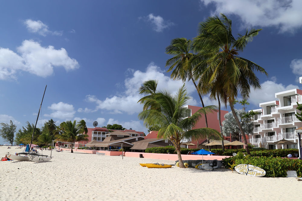 02_Southern_Palms_cThomas_Sbikowski