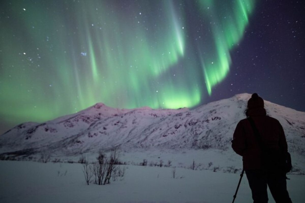 Chase the Northern Lights - What is there to do in Iceland