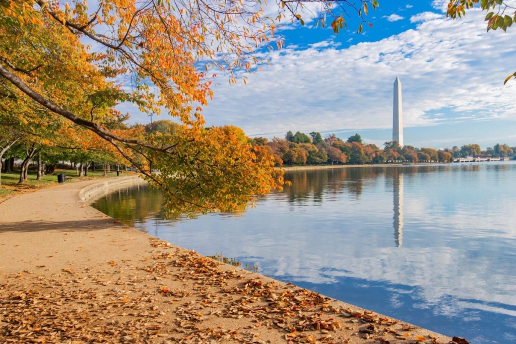 Walk The Tidal Basin - things to do in dc